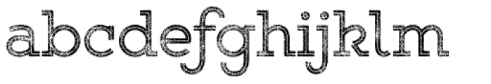 Gist Rough Upr Reg Two Font LOWERCASE