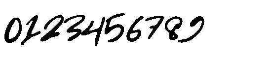 Gixxer Font OTHER CHARS