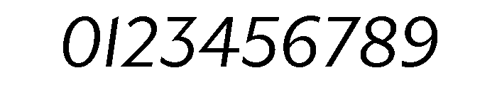 Gibbs Book Italic Font OTHER CHARS