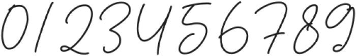 Glorius Signature otf (400) Font OTHER CHARS