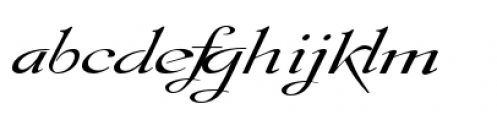 Gladly Ornate Wide Oblique Font LOWERCASE