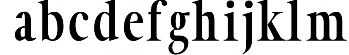 Glamour Luxury Serif Font Family Font LOWERCASE