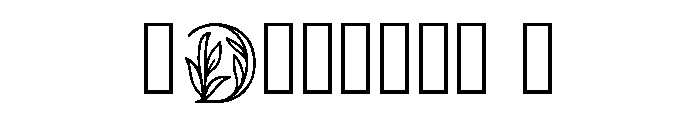 Gnats Regular Font OTHER CHARS