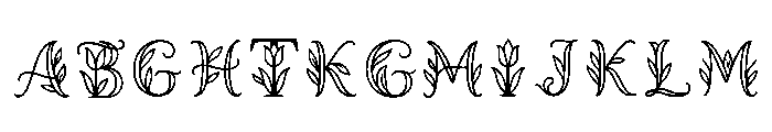 Gnats Regular Font UPPERCASE
