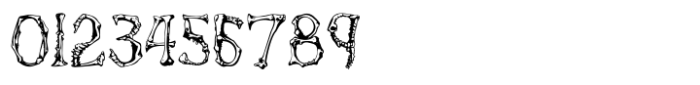 Gnarly Skeleton Regular Font OTHER CHARS
