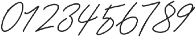 Godwit Signature Medium otf (500) Font OTHER CHARS