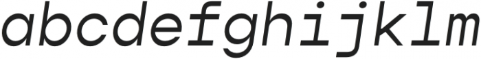 Gopher Mono Italic otf (400) Font LOWERCASE