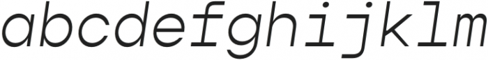 Gopher Mono Light Italic otf (300) Font LOWERCASE