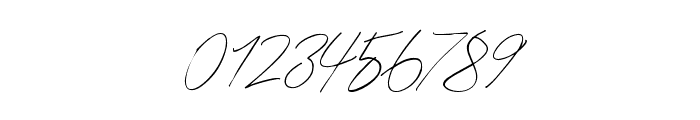 Godwit Signature DEMO Light Font OTHER CHARS