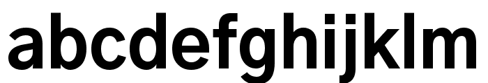 Gothic A1 ExtraBold Font LOWERCASE
