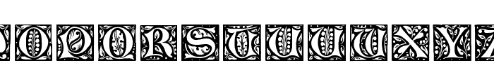 Gotische Initialen Font LOWERCASE