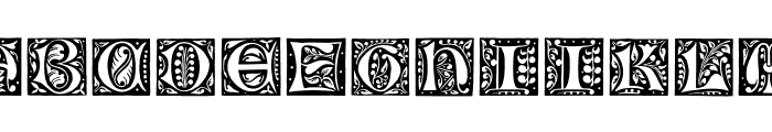 GotischeInitialen Font LOWERCASE