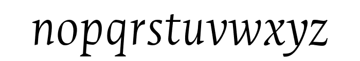 Ancizar Serif 300italic Font LOWERCASE