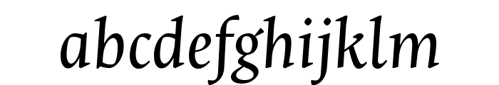 Ancizar Serif Italic FONT