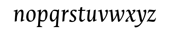 Ancizar Serif Italic Font LOWERCASE