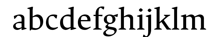 Ancizar Serif Regular FONT