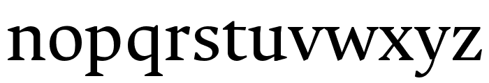 Ancizar Serif Regular Font LOWERCASE