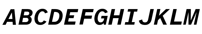 Atkinson Hyperlegible Mono 700italic Font UPPERCASE