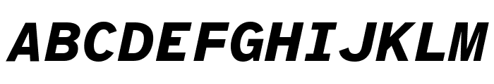 Atkinson Hyperlegible Mono 800italic Font UPPERCASE