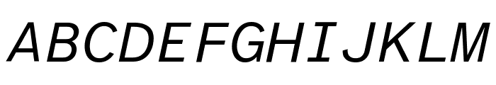 Atkinson Hyperlegible Mono Italic Font UPPERCASE