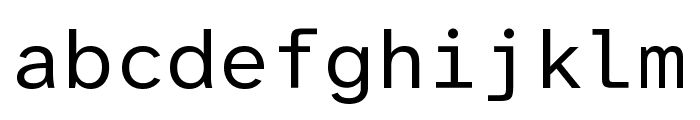 Atkinson Hyperlegible Mono Regular FONT