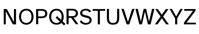 Atkinson Hyperlegible Next Regular Font UPPERCASE