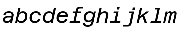 Azeret Mono Italic Font LOWERCASE