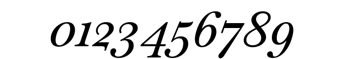 Baskervville 500italic Font OTHER CHARS
