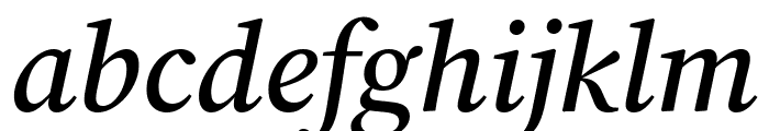 Chiron Sung HK 600italic FONT