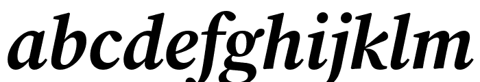 Chiron Sung HK 800italic FONT