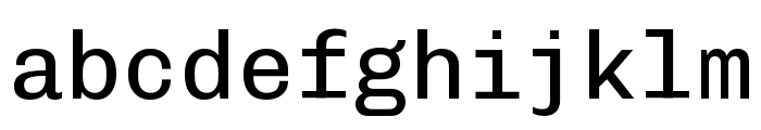 Chivo Mono Regular Font LOWERCASE