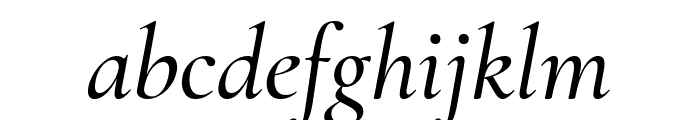 Cormorant Garamond 500italic Font LOWERCASE