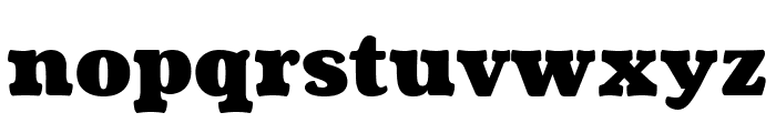 Coustard 900 Font LOWERCASE