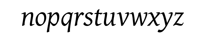 Dai Banna SIL 300italic Font LOWERCASE