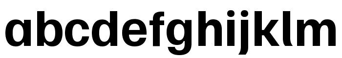 Familjen Grotesk 700 Font LOWERCASE