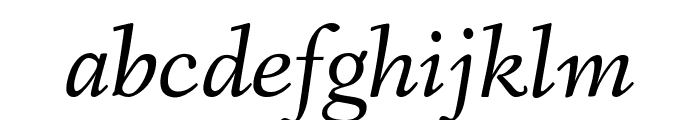 Fanwood Text italic Font LOWERCASE