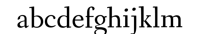 Fanwood Text regular Font LOWERCASE