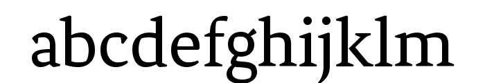 Fenix regular Font LOWERCASE
