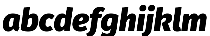 Fira Sans 900italic Font LOWERCASE