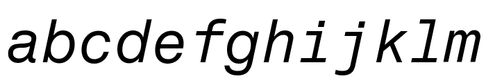 Fragment Mono Italic Font LOWERCASE