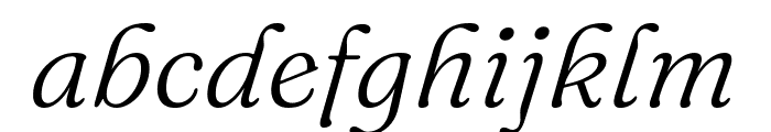 Fraunces 300italic Font LOWERCASE