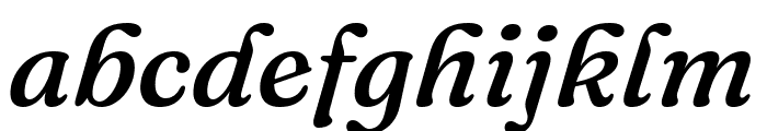 Fraunces 500italic Font LOWERCASE