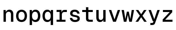Geist Mono 500 Font LOWERCASE