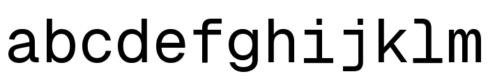 Geist Mono Regular FONT