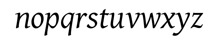 Gentium Basic italic Font LOWERCASE