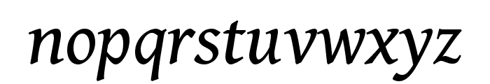 Gentium Book Basic italic Font LOWERCASE