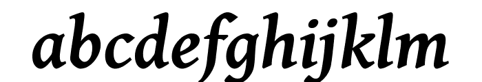 Gentium Plus 700italic Font LOWERCASE