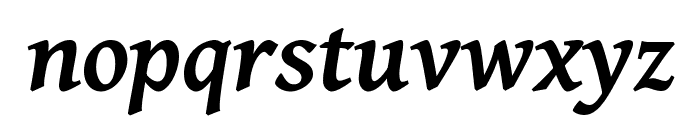 Gentium Plus 700italic Font LOWERCASE