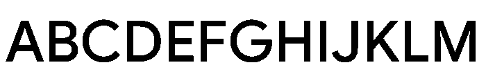 Google Sans 500 Font UPPERCASE