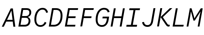 Google Sans Code 300italic Font UPPERCASE